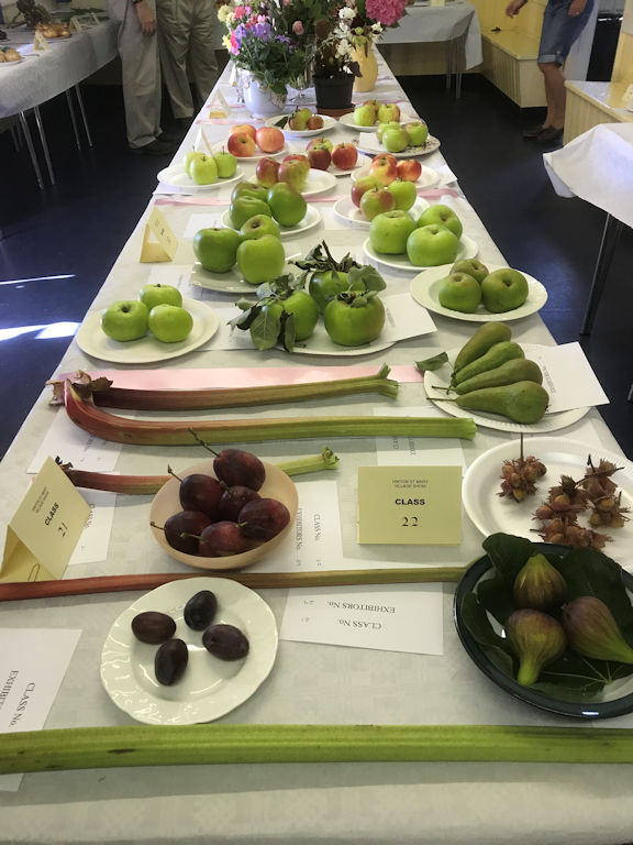 village show 2019 - fruit display